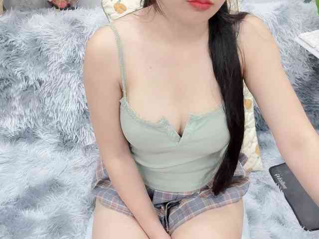 Modelo: Linh97