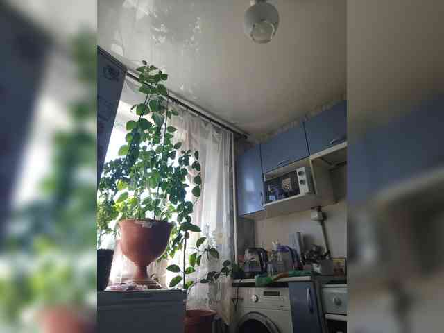 Alena61 webcam
