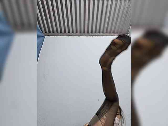 Sexy-ladyass89 Sexy-ladyass89