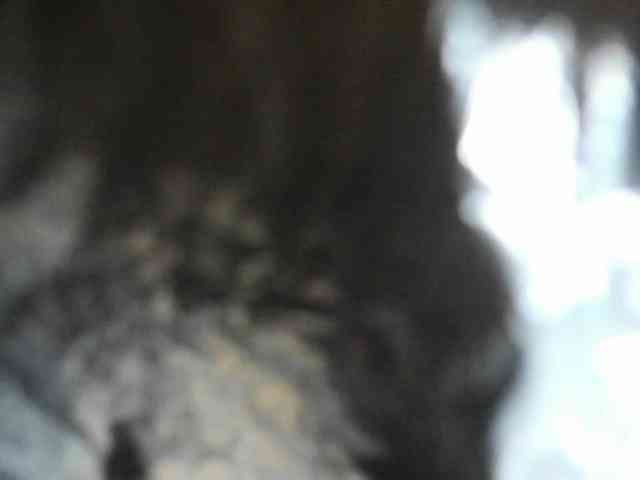 Arantza-Hill webcam