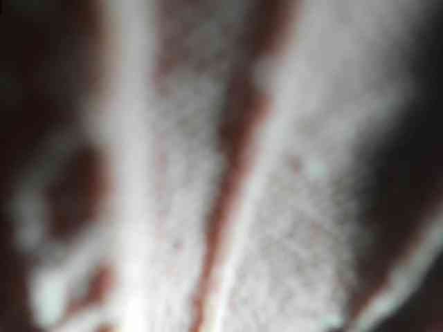 Arantza-Hill webcam