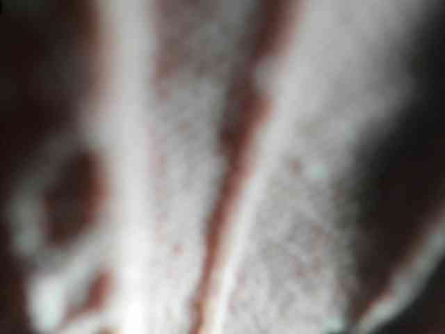 Arantza-Hill webcam