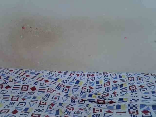 ebonychocolate webcam