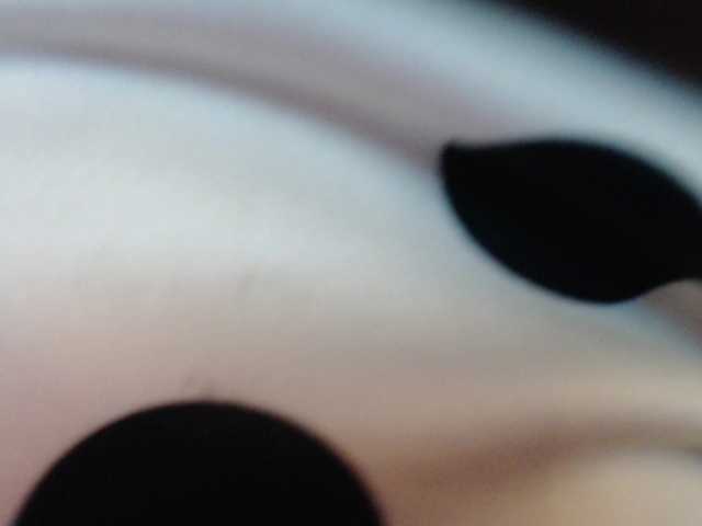 pizzahubb live cam on BongaCams