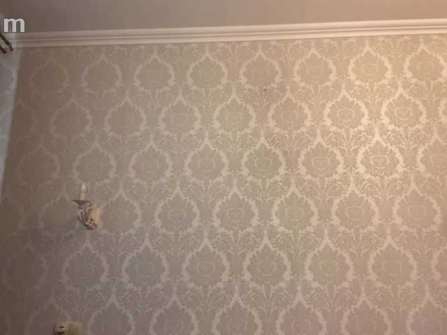 pizzahubb live cam on BongaCams