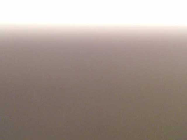 pizzahubb live cam on BongaCams