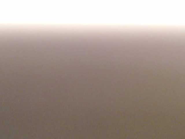 pizzahubb live cam on BongaCams