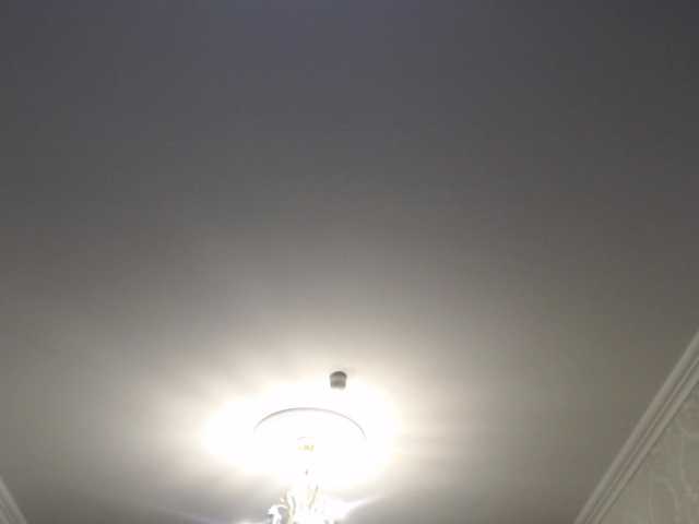 pizzahubb live cam on BongaCams