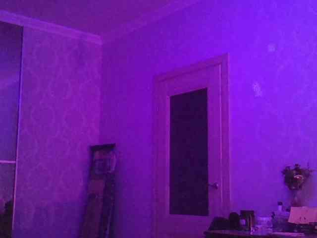kotenokkkk webcam