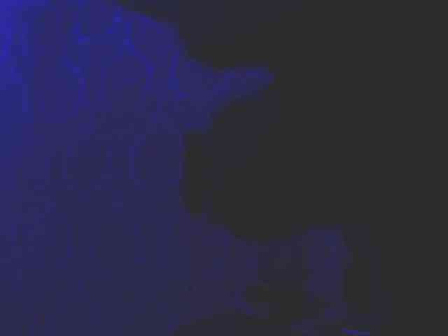 pizzahubb