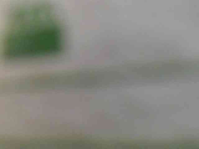 kotenokkkk webcam