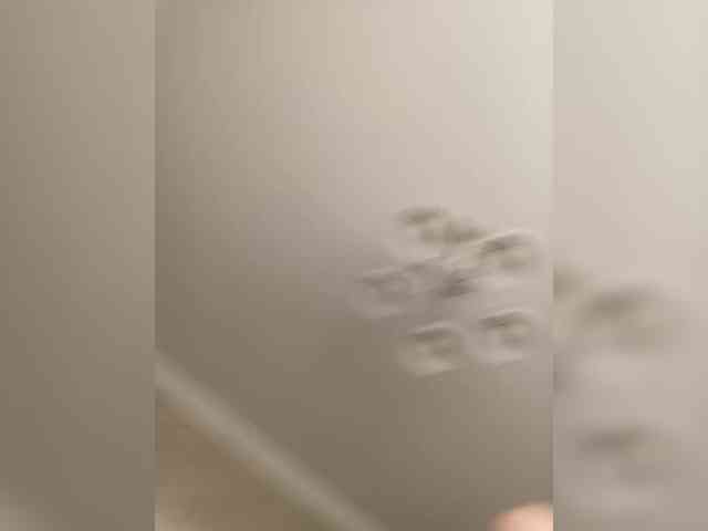 kotenokkkk's live room