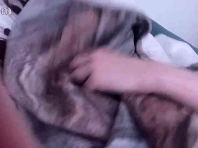 kotenokkkk webcam