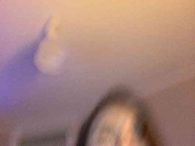 kotenokkkk webcam