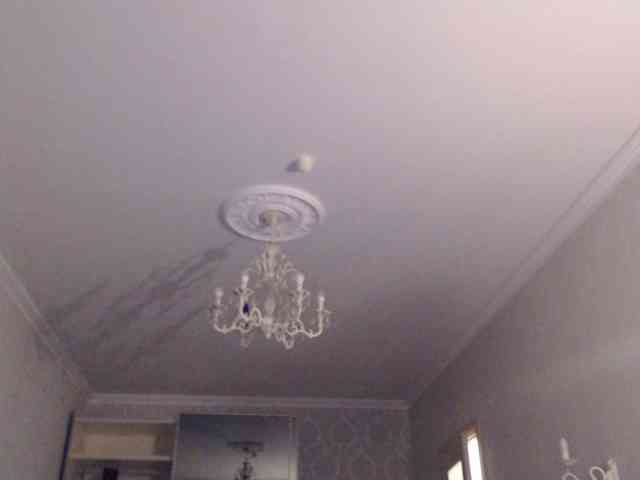 kotenokkkk webcam