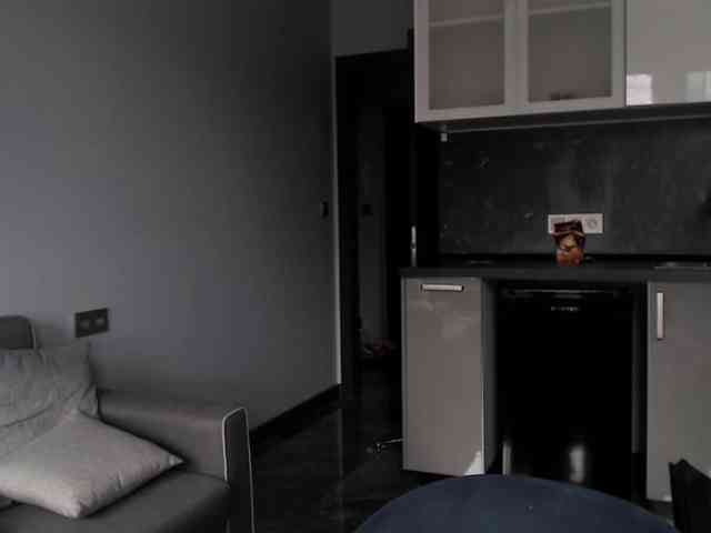kotenokkkk webcam