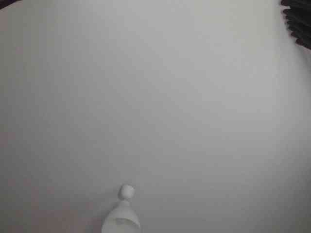 kotenokkkk webcam