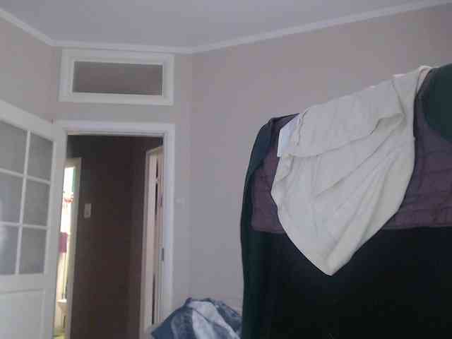 kotenokkkk