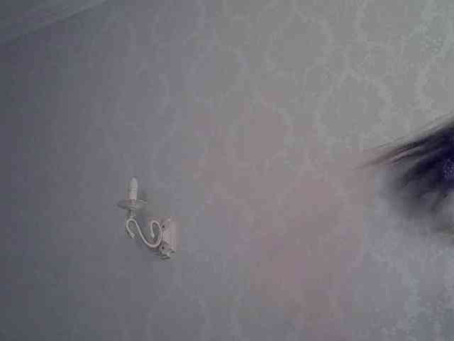 kotenokkkk webcam