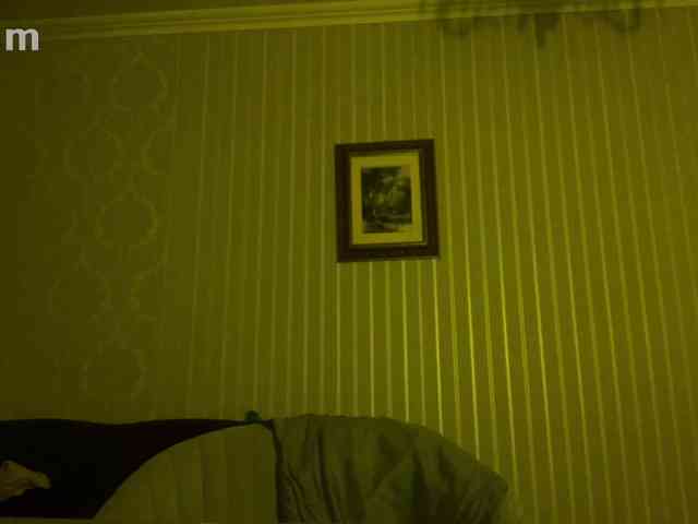 kotenokkkk webcam