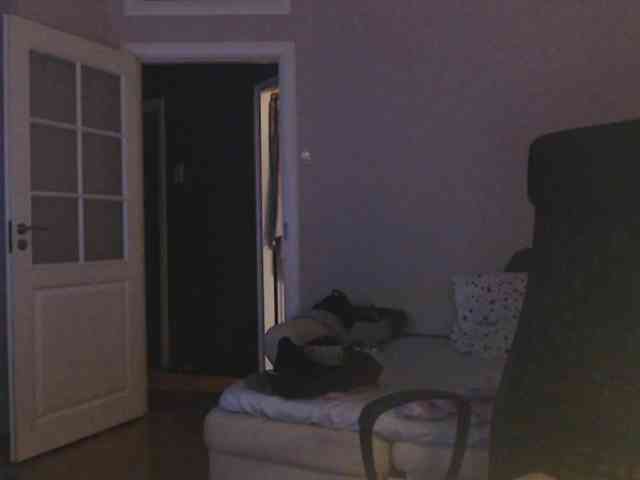 kotenokkkk webcam