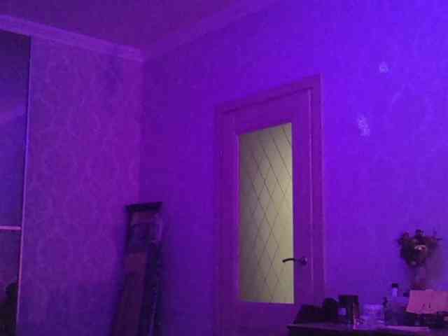 kotenokkkk webcam