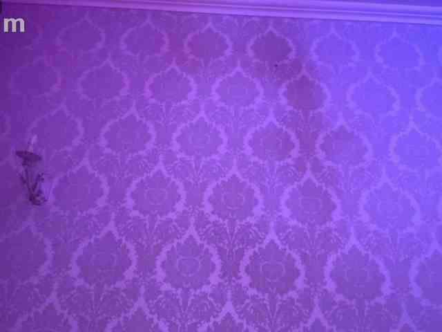 kotenokkkk webcam