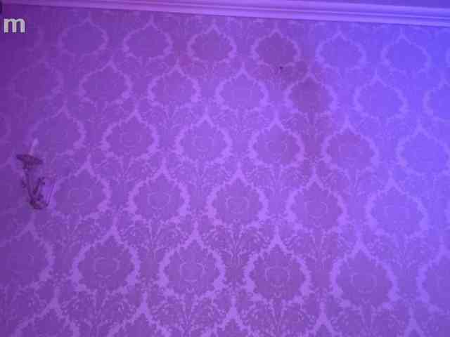 kotenokkkk webcam