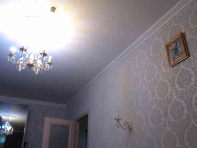 kotenokkkk webcam