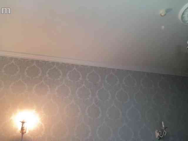 kotenokkkk webcam