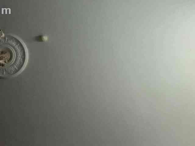 kotenokkkk webcam