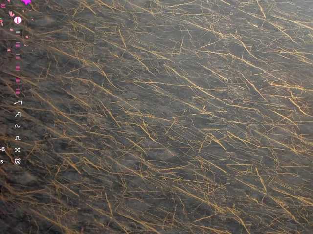 Preview of maya_lisa