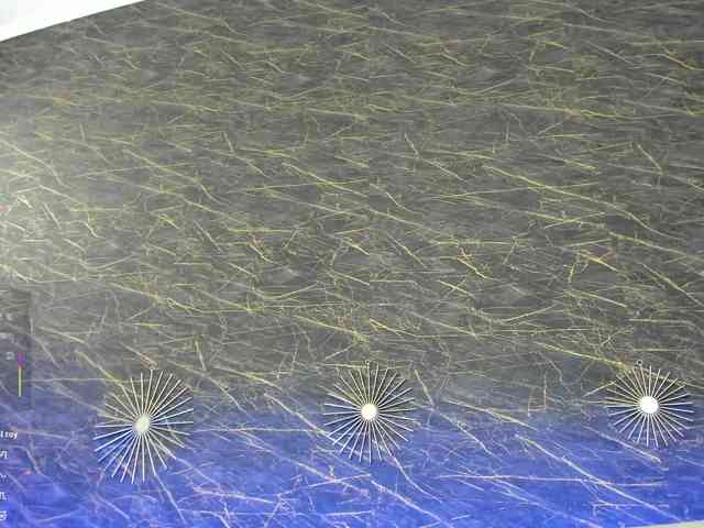 Maya_Lisa webcam