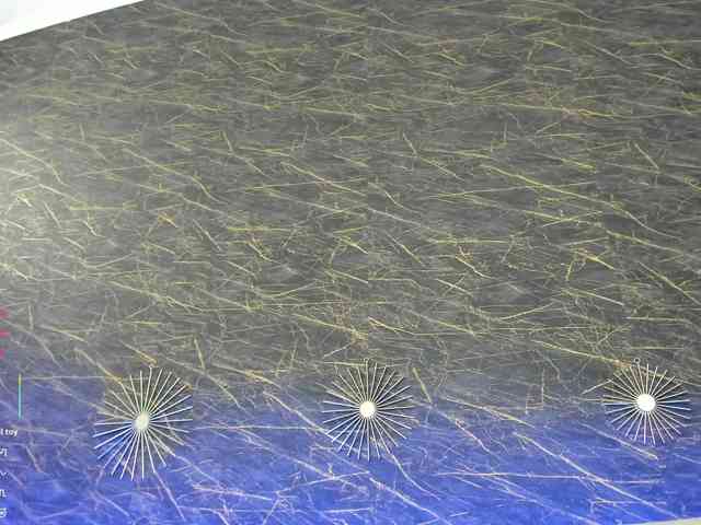 Maya_Lisa webcam