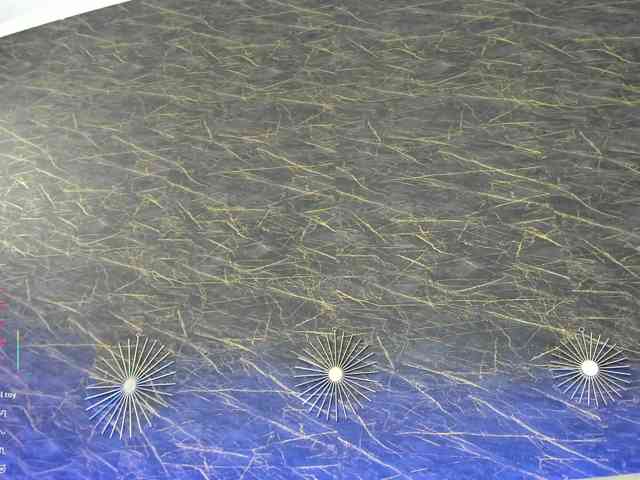 Maya_Lisa webcam