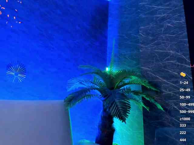 Maya_Lisa webcam