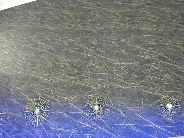 Maya_Lisa webcam