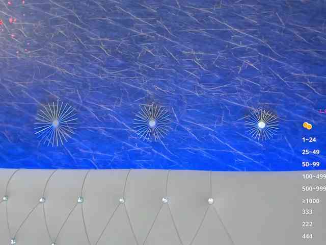 Maya_Lisa webcam