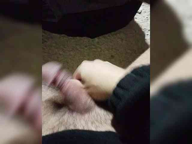 Bober73 Bober73