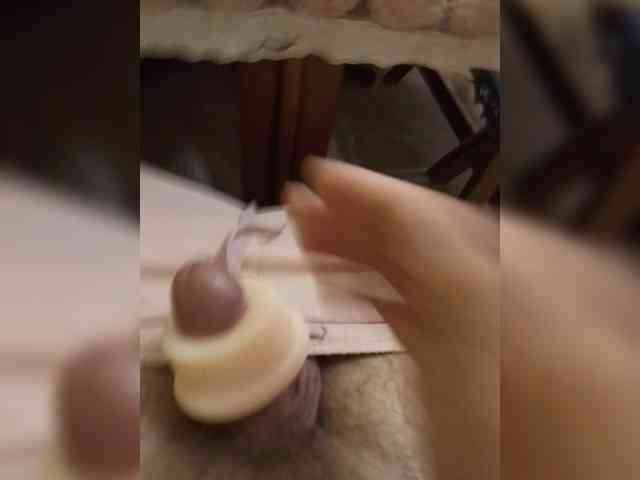 Bober73