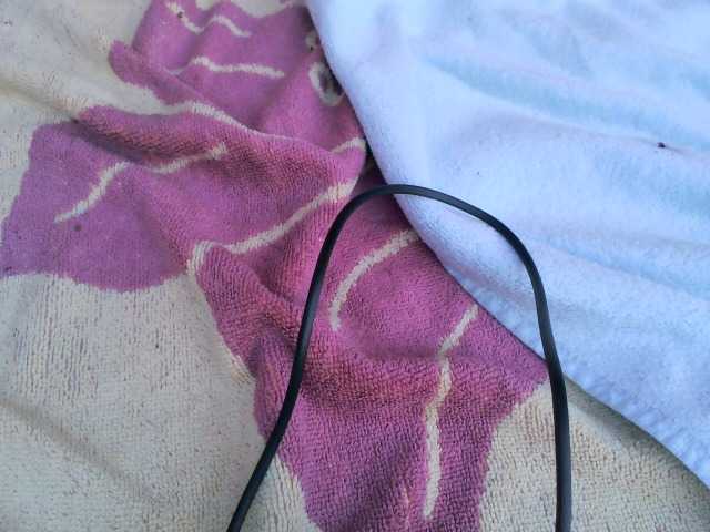Ariabeny30