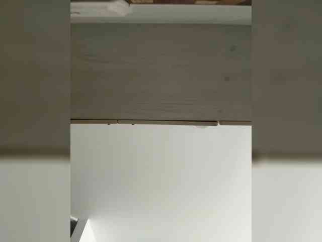 Anhika webcam