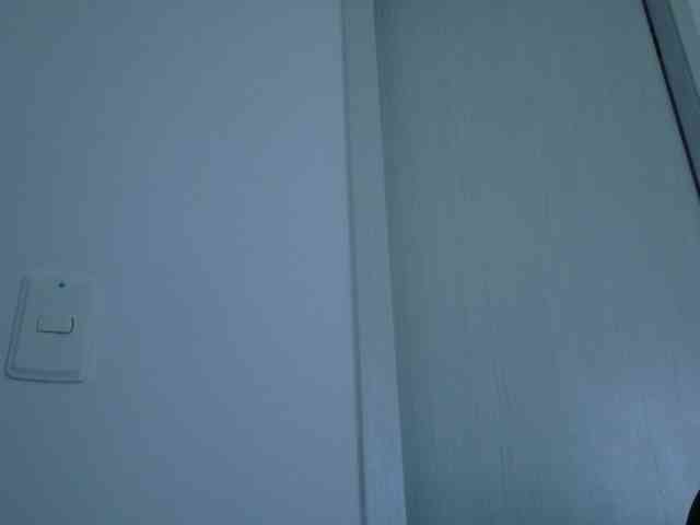 Anhika webcam