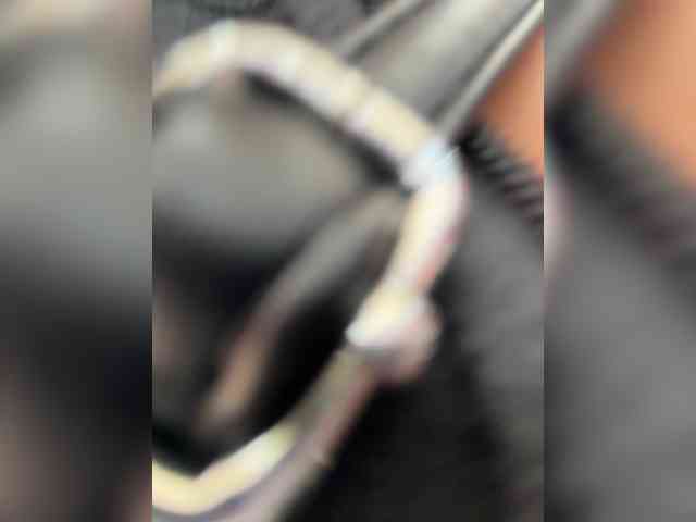 Anhika webcam