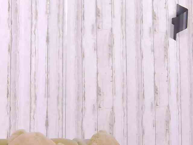 SweetAnisia webcam