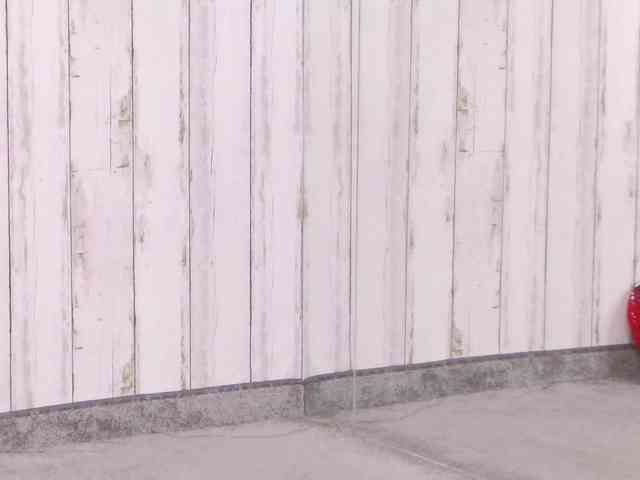 SweetAnisia webcam