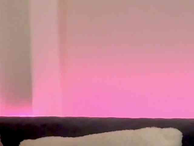 ArielBlossom webcam