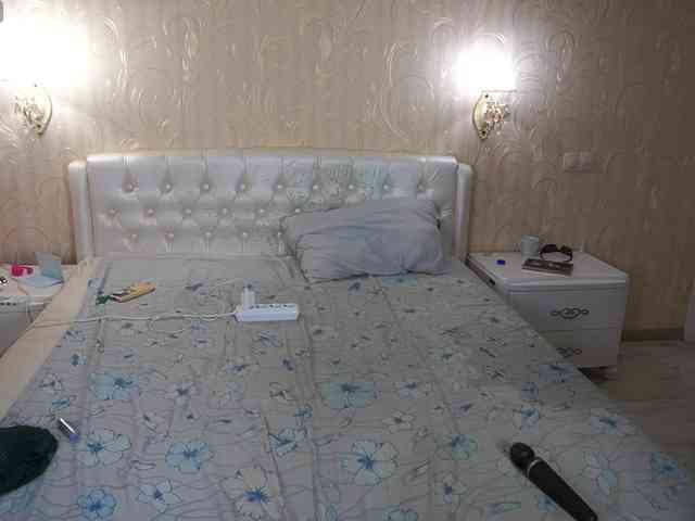 MiaVienne webcam