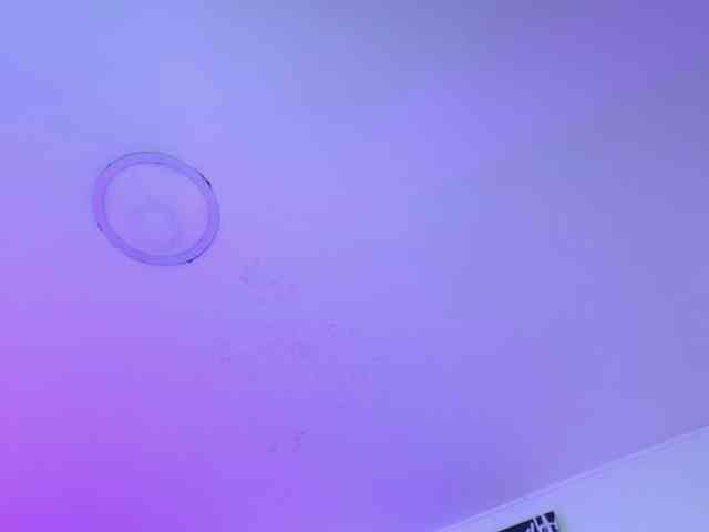 DakotaRobbins webcam