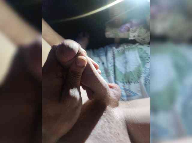 2024Misha2024